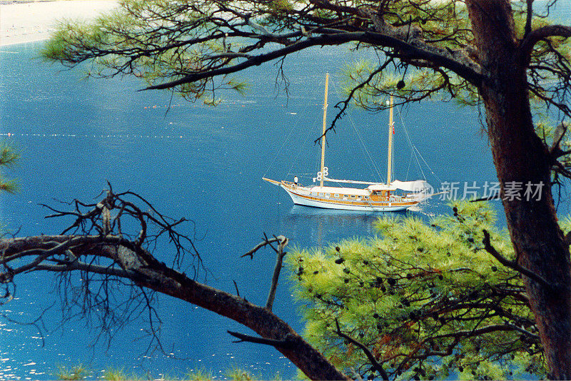 传统的船(Gulet)和松树在土耳其地中海海岸，Oludeniz, Fethiye